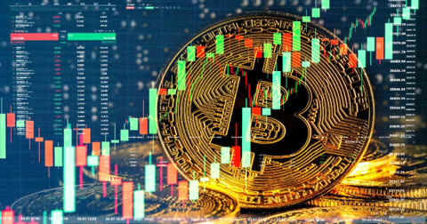 WIF Price Faces Critical Test at $0.18 Support